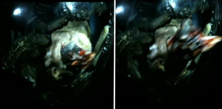 Illustration for article titled Shot-for-shot breakdown of all the new alien monsters in Ridley Scott's Prometheus!